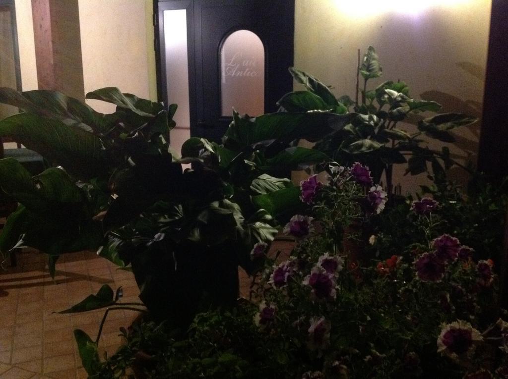 Bed and Breakfast L' Aia Antica Veroli Екстер'єр фото